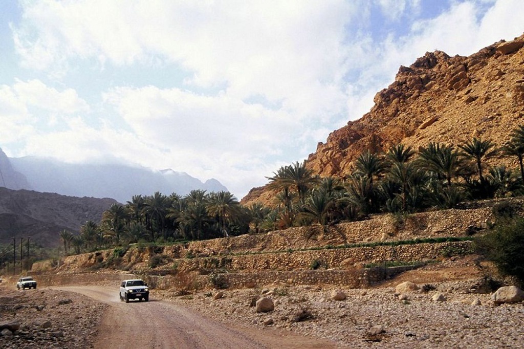 4x4’s op een onverharde weg langs palmoase en rotsbergen in Oman, tijdens groepsrondreis Oman en Dubai.