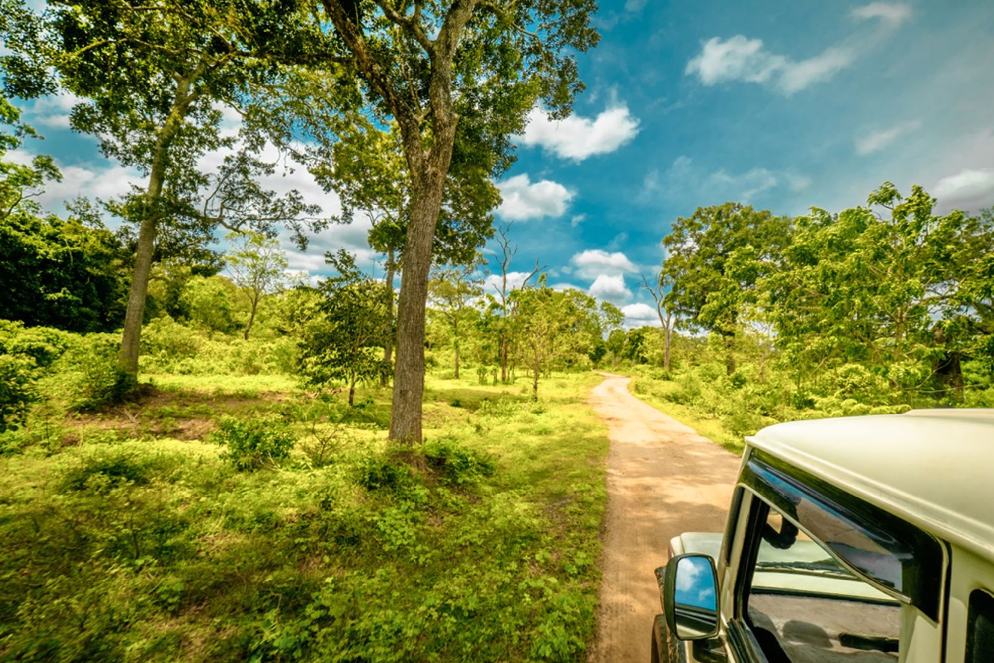 Safari-jeep op een zandweg door groen natuurgebied in Sri Lanka.