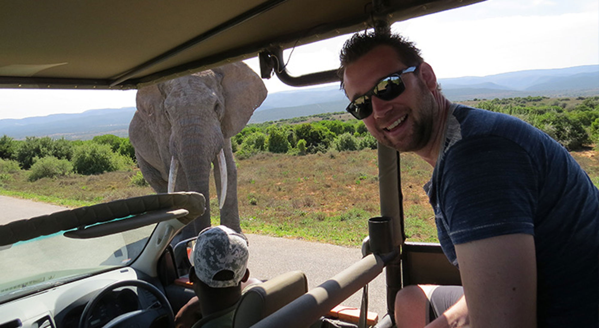 Man in safariwagen met olifant naast de weg in natuurgebied.
