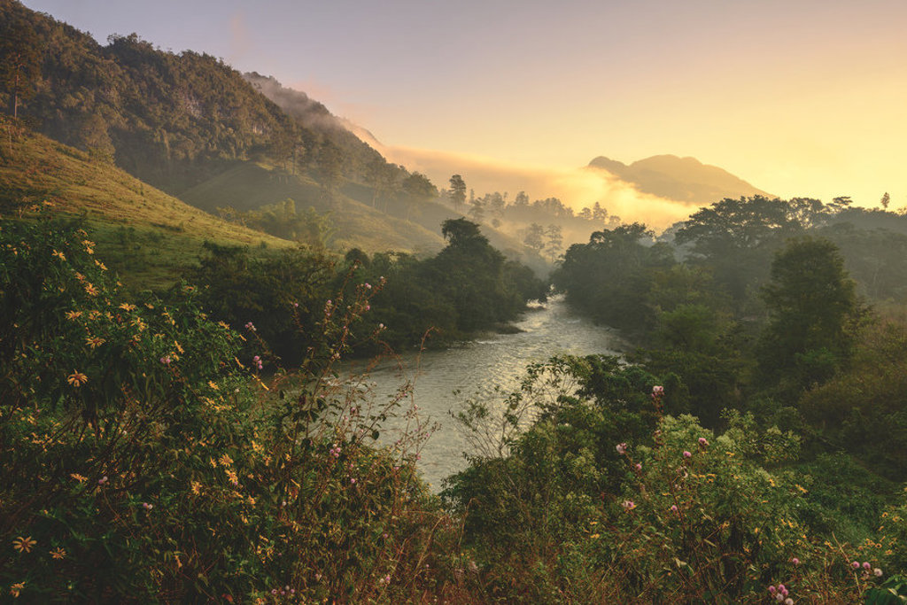 Groene vallei met rivier en mistige bergen bij zonsopkomst in Guatemala.