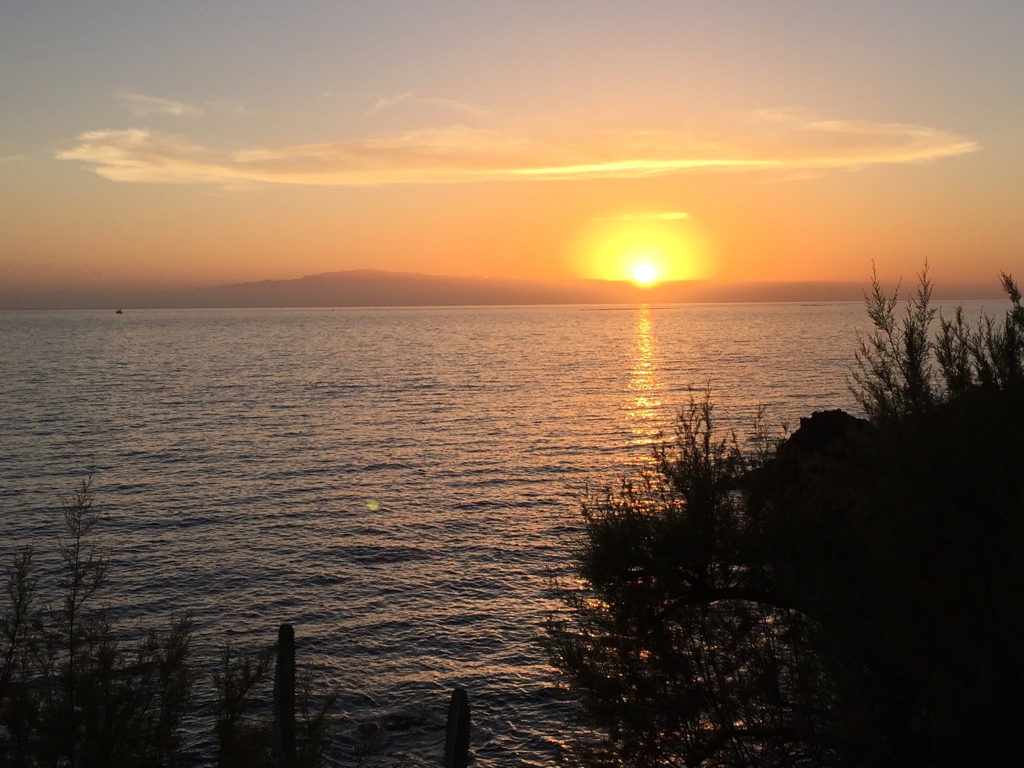 Zonsondergang boven de Atlantische Oceaan bij Tenerife, met silhouetten van struiken op de voorgrond.