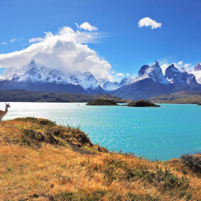 Azuurblauw meer met besneeuwde bergtoppen en guanaco in Patagonië tijdens groepsrondreis.