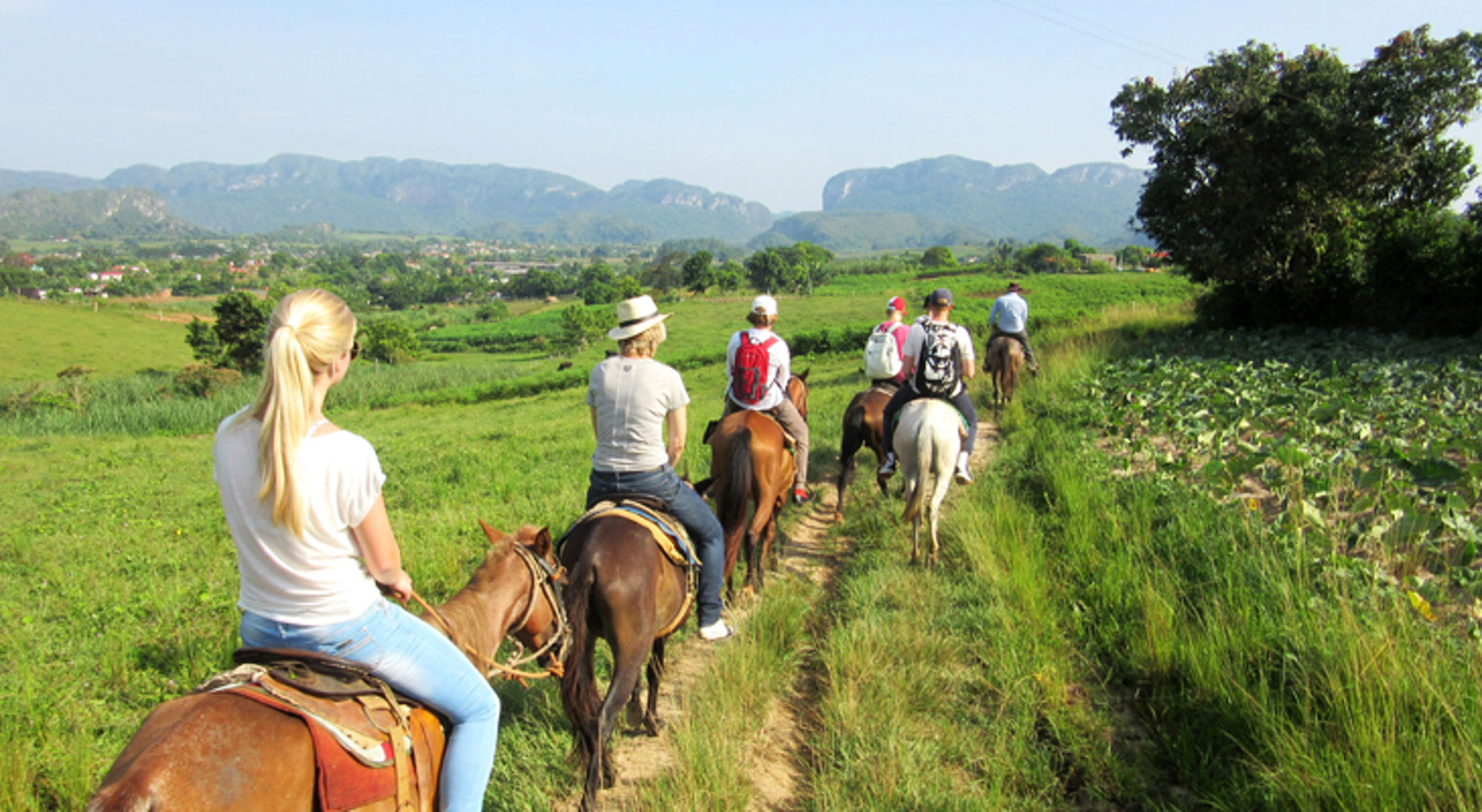 Groep ruiters te paard op een pad door groene velden met bergen op de achtergrond.