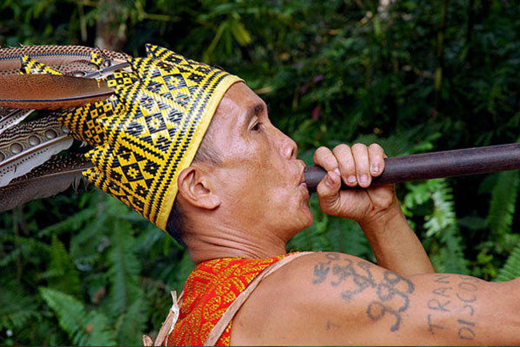 Man in traditionele Kalimantan-kleding met verenhoofdtooi blaast op een blaaspijp in het regenwoud.