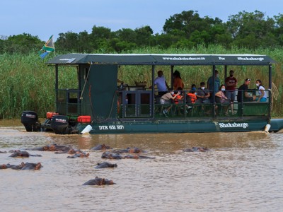Bootsafari op de St. Lucia-rivier met nijlpaarden in het water, Route Zuid-Afrika.