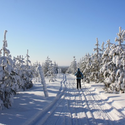 Langlaufen door een besneeuwd bos in Lapland tijdens een familiereis in de winter.