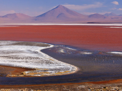 Laguna Colorada met roze water en bergen in Bolivia, route Bolivia en Chili.