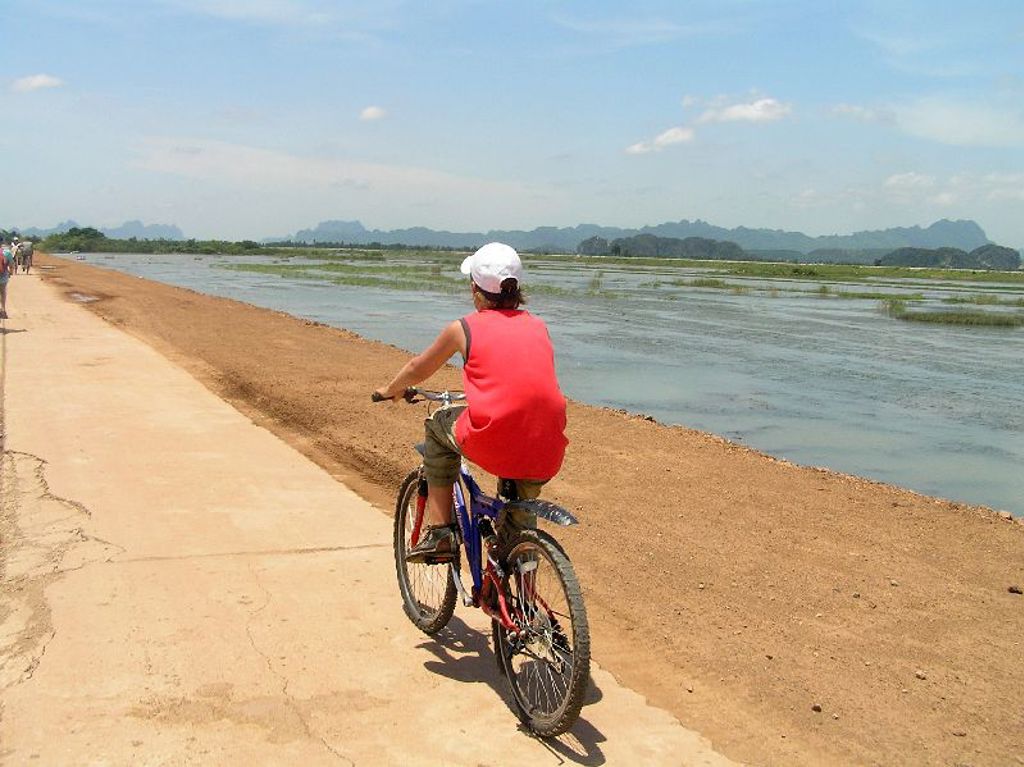 Fietsen langs de rivier in Vietnam tijdens een familiereis, met rijstvelden en karstbergen op de achtergrond.
