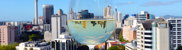 Glas Nieuw-Zeelandse wijn met skyline van Auckland op de achtergrond.