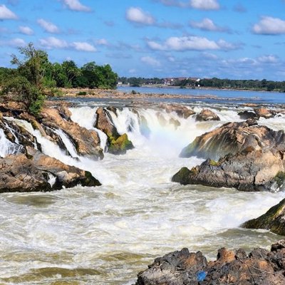 Uitzicht op groene rijstvelden met palmbomen tijdens een groepsrondreis Laos & Cambodja.