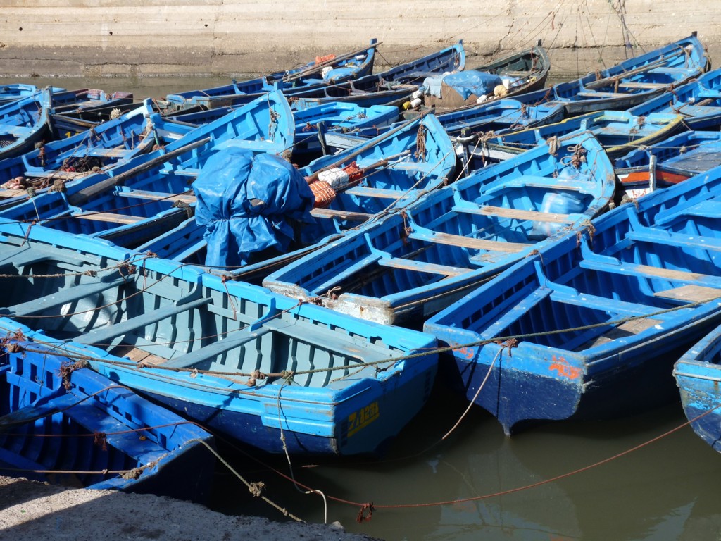 Blauwe vissersbootjes in de haven van Marokko tijdens een familiereis in de zomer.