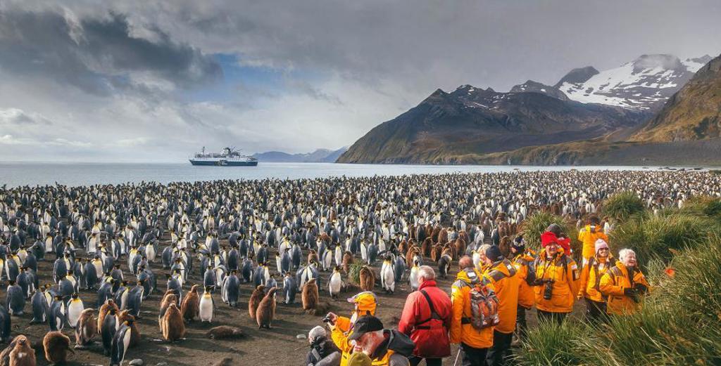 Reizigers tussen een grote pinguïnkolonie op South Georgia, met expeditiecruiseschip en bergen op de achtergrond.