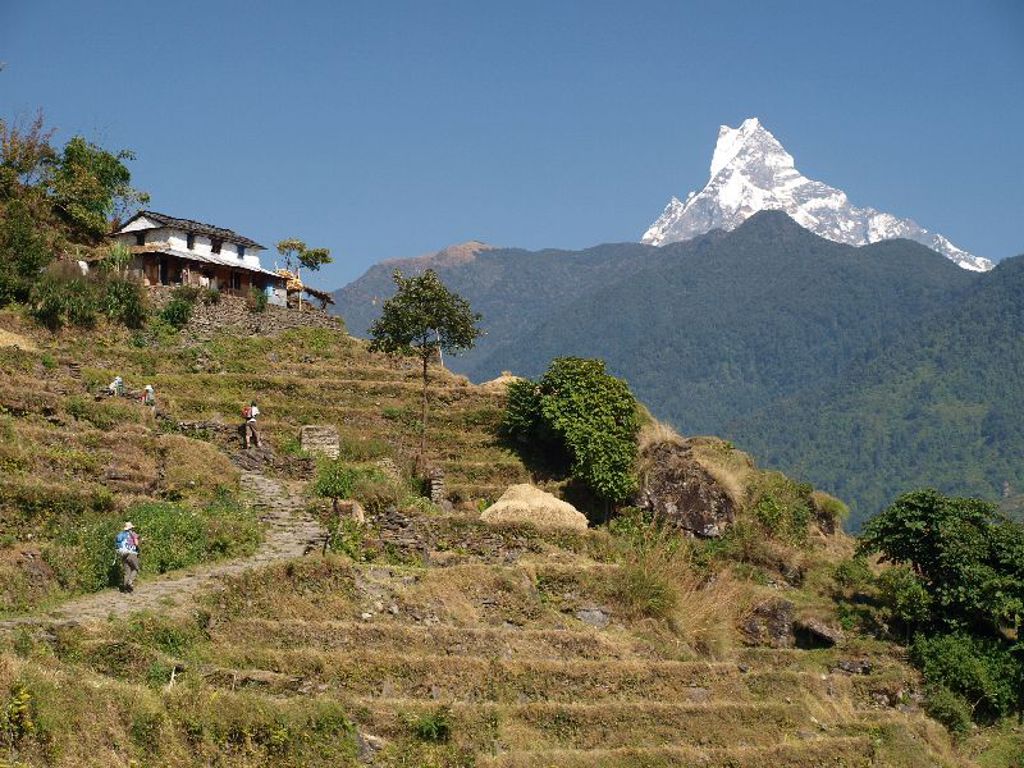 Wandelaars op een bergpad langs terrassen met uitzicht op de Himalaya in Nepal.