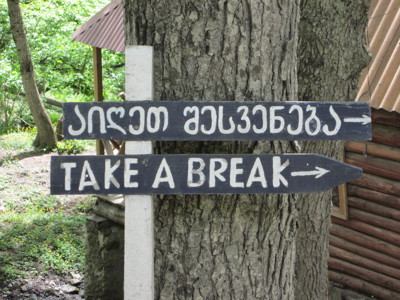 Houten wegwijzer met Georgische tekst en “Take a break” bij een boom langs de route Armenië en Georgië.