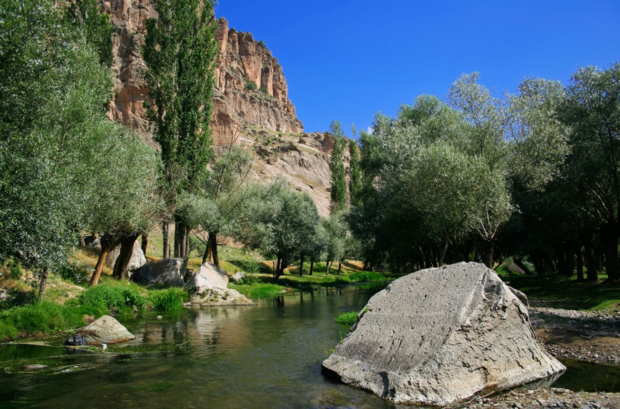 Groene rivier met olijfbomen en rotswand in Cappadocië, Turkije.