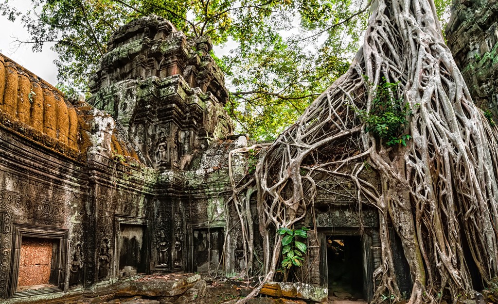 Ta Prohm-tempel in Cambodja met boomwortels die over de eeuwenoude ruïnes groeien.