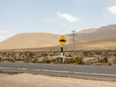 Weg door het Andeslandschap in Peru met alpaca’s en verkeersbord langs de route.