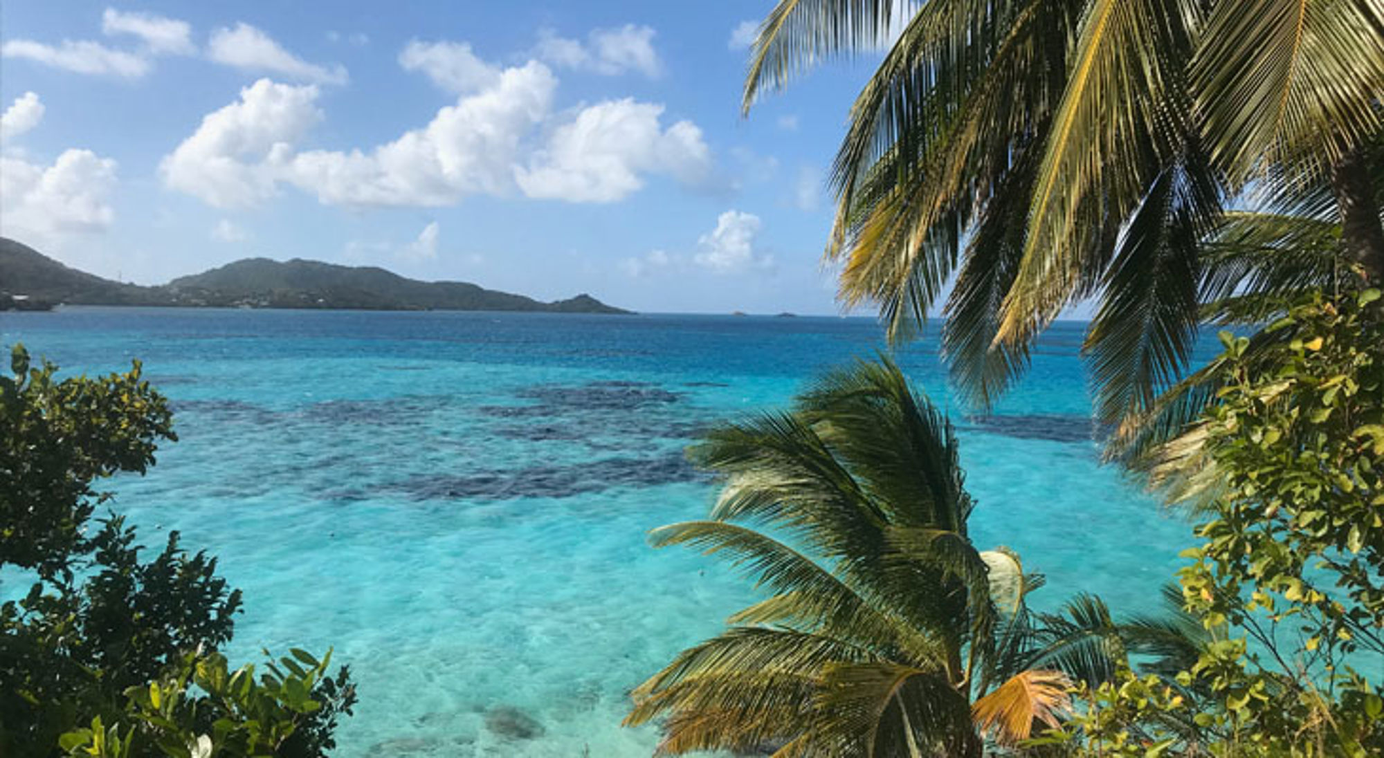 San Andres Turquoise zee met palmbomen en uitzicht op eilanden aan de Caribische kust van Colombia.
