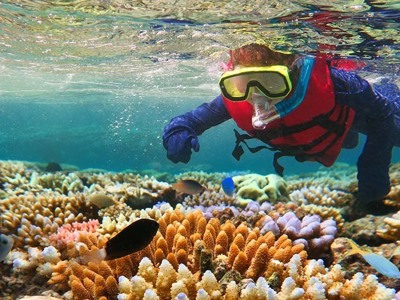 Snorkelen boven kleurrijk koraalrif met tropische vissen tijdens de Route Australië kampeer- & hotelreis, 21 dagen.