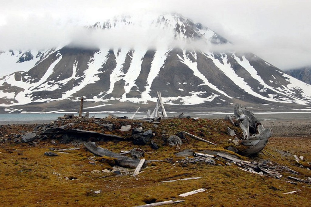 Besneeuwde bergen en mist bij Spitsbergen, met aangespoeld drijfhout op een toendra-achtige kust.