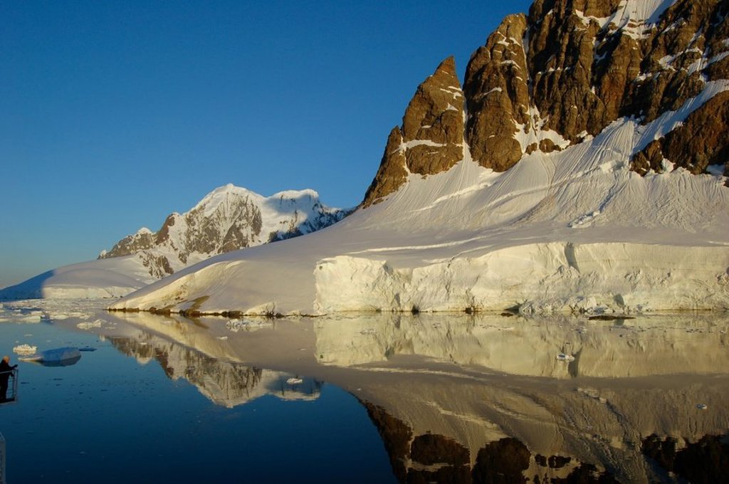 Koningspinguïns in de sneeuw tijdens een groepsrondreis Antarctica, South Georgia en de Poolcirkel.