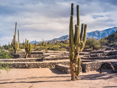 Cactussen en stenen terrassen in de Quebrada de Humahuaca, Route Argentinië.