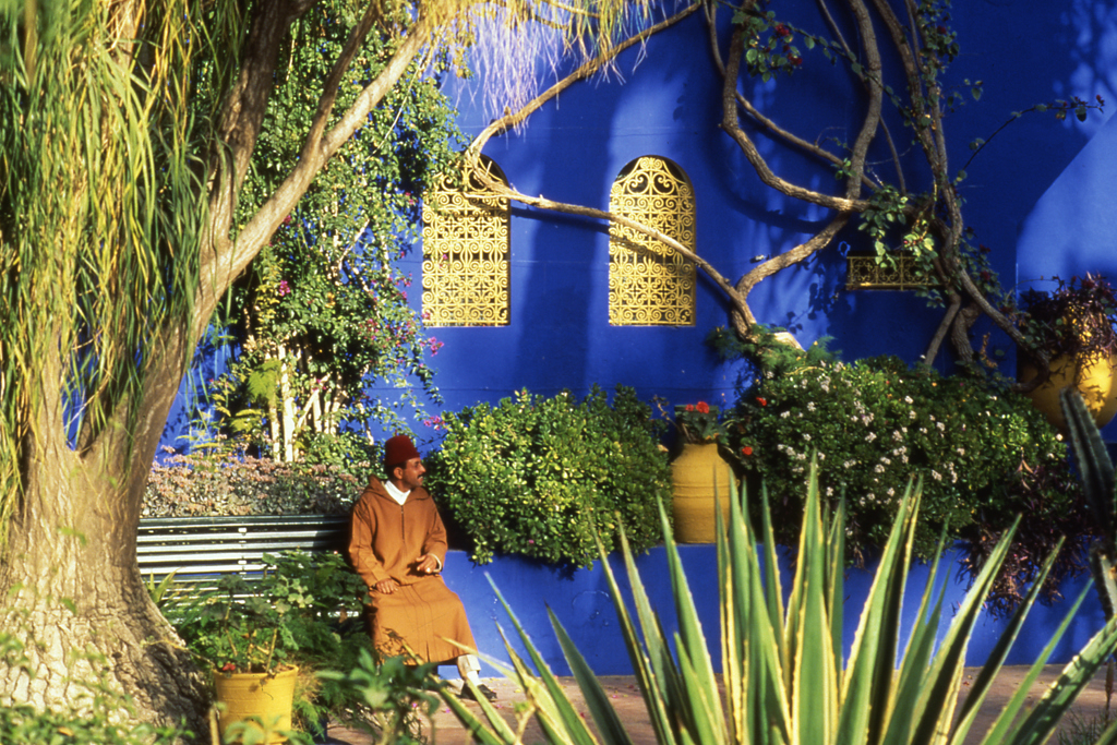 Man in traditionele kleding in de tuin van Jardin Majorelle in Marrakech, met blauwe muur en gele ramen.