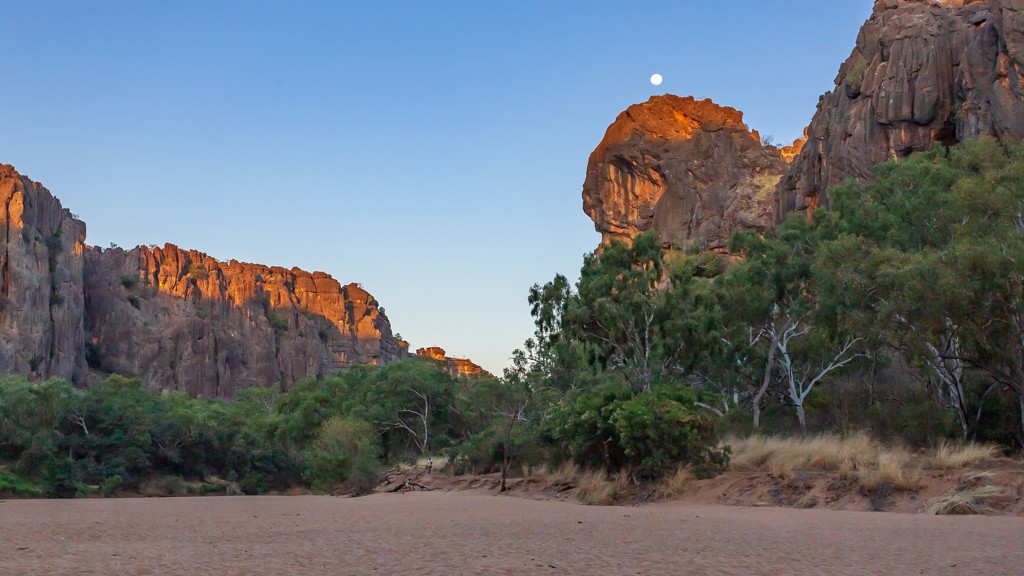 Rotskliffen en eucalyptusbossen in de outback van West-Australië bij zonsondergang.