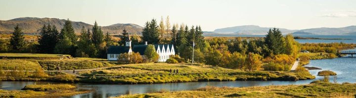 Dennenbomen op de voorgrond met besneeuwde bergen in Thingvellir, IJsland.