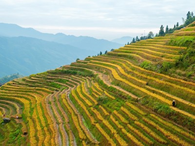 Rijstterrassen in de bergen van China tijdens de 17-daagse route China.