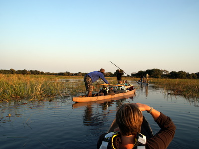 Mokorotocht door de Okavango Delta met gidsen die de kano’s voortduwen tussen rietvelden.