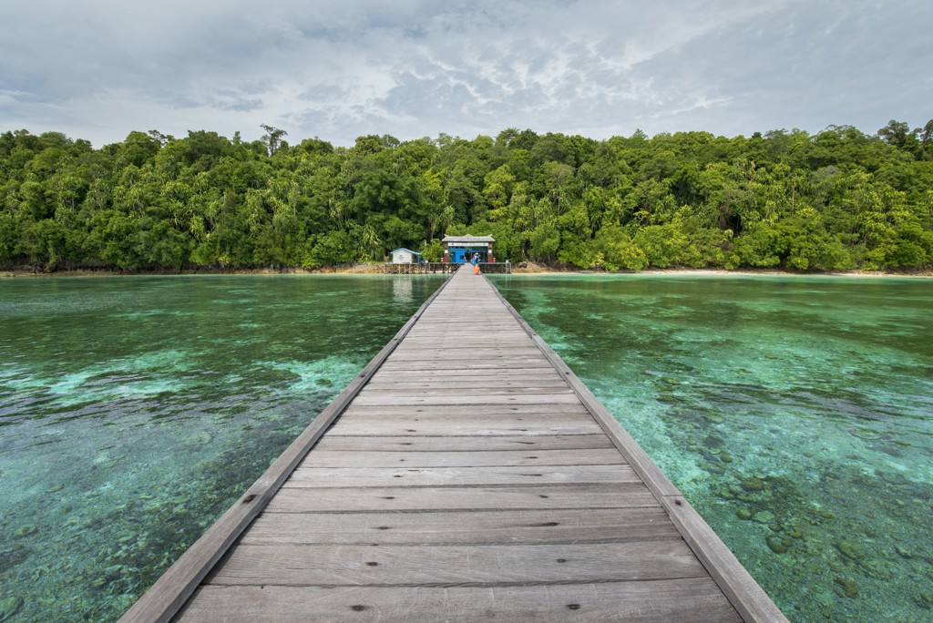 Houten pier over helder zeewater naar een groen eiland tijdens groepsrondreis Kalimantan, Indonesië.