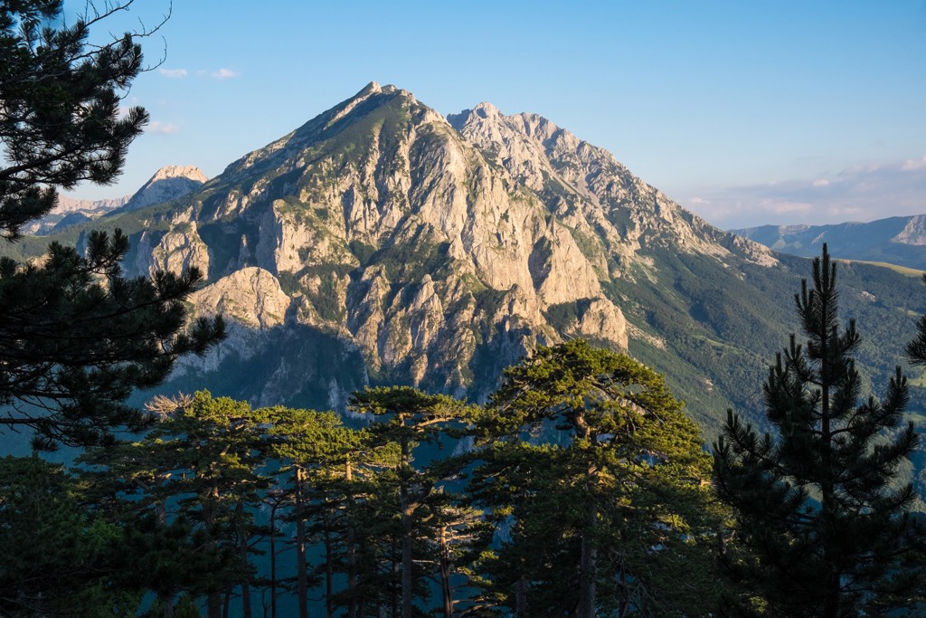 Berglandschap met rotsachtige pieken en dennenbomen tijdens een rondreis in Montenegro.
