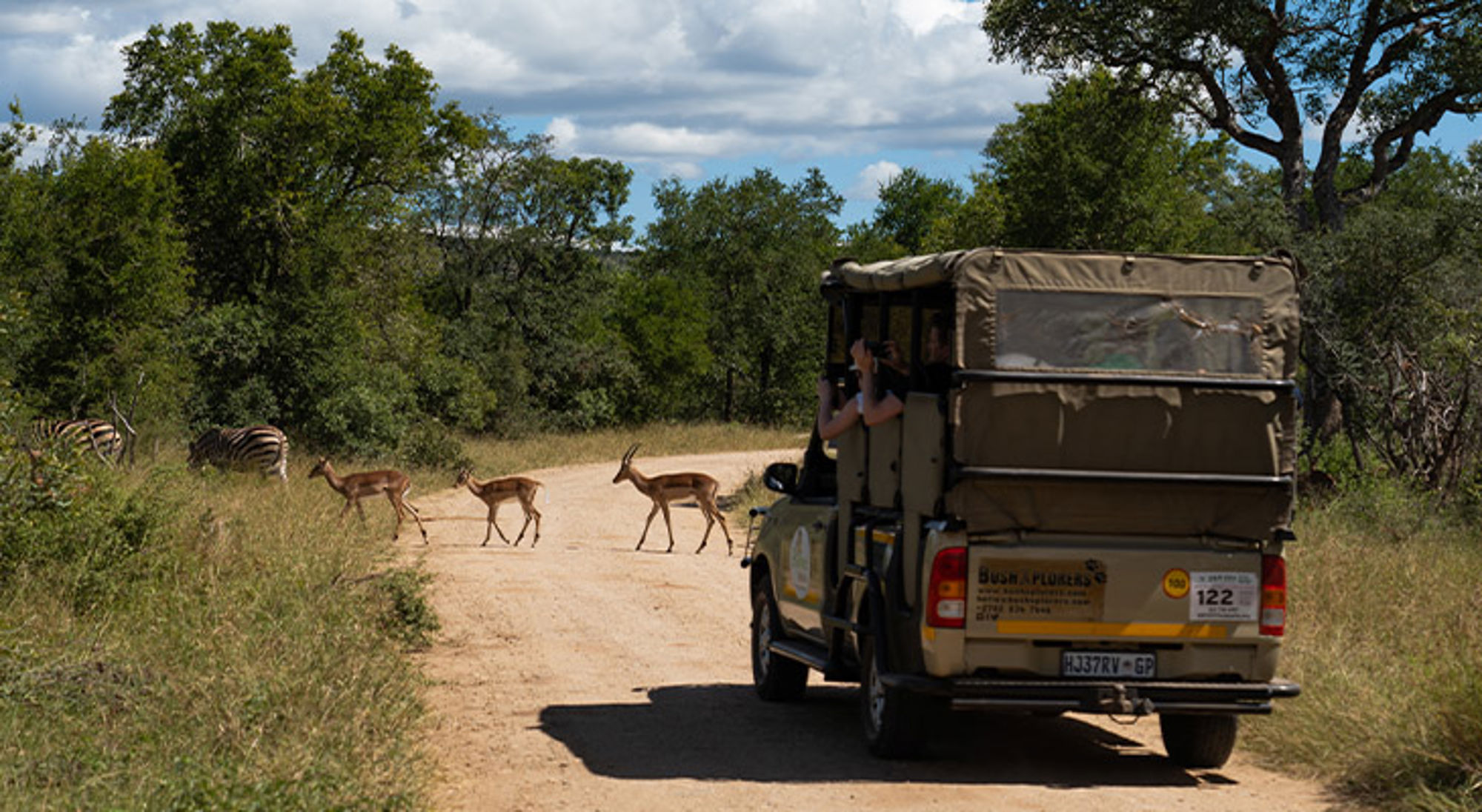Gamedrive Zuid-Afrika Safari-jeep op zandweg terwijl impala’s oversteken, met zebra’s in de achtergrond.