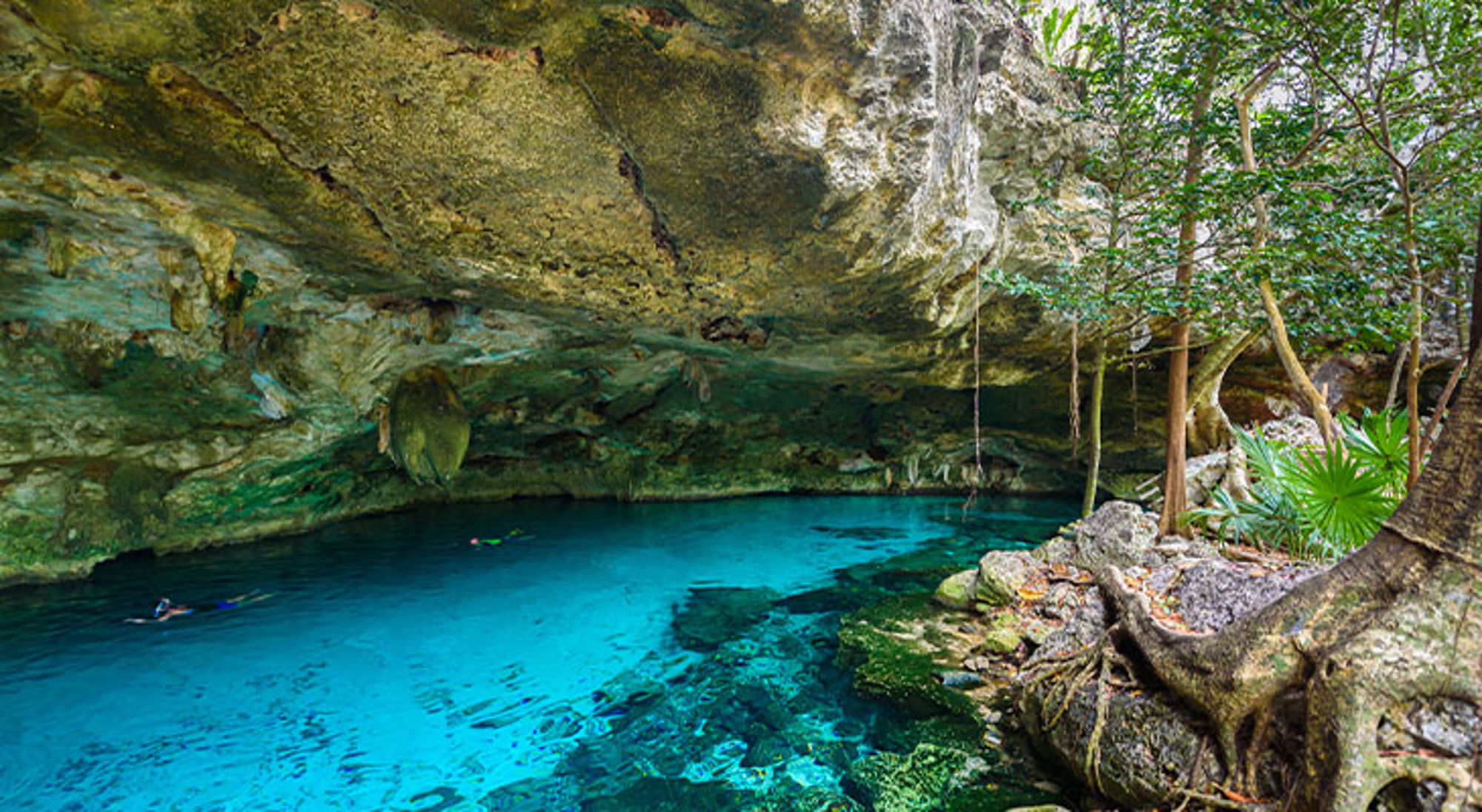 Dos Ojos Cenote Turquoise cenote in een grot met helder water, rotswand en omringende junglevegetatie.