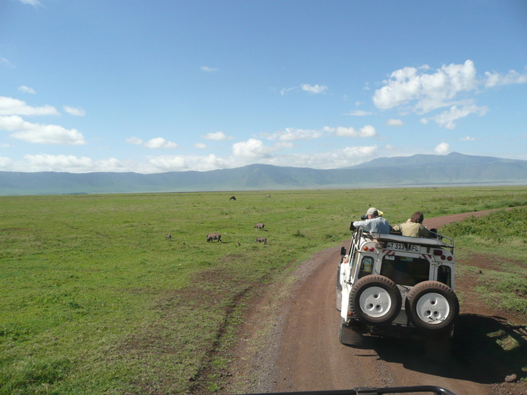 Safari-jeep op de savanne in Kenia en Tanzania tijdens familiereis van 16 dagen, met dieren in de verte.