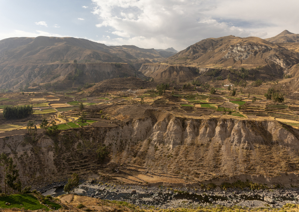 Terrasvelden en berglandschap in Peru tijdens 22-35ers reis inclusief Amazone.