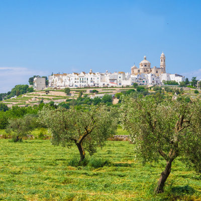 Witte heuvelstad in Puglia met kerkkoepel, gezien vanaf een olijfgaard tijdens een wandelvakantie in Italië.