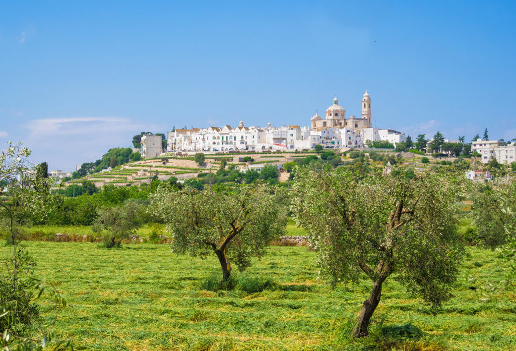 Witte heuvelstad in Puglia met kerkkoepel, gezien vanaf een olijfgaard tijdens een wandelvakantie in Italië.