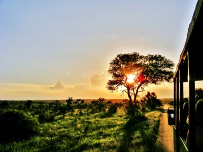 Zonsondergang tijdens safari op de savanne langs Route Zuid Afrika, met jeep op zandpad en silhouet van boom.