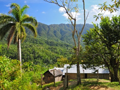 Groene bergvallei in Cuba met palmbomen en houten huizen onder een blauwe lucht.