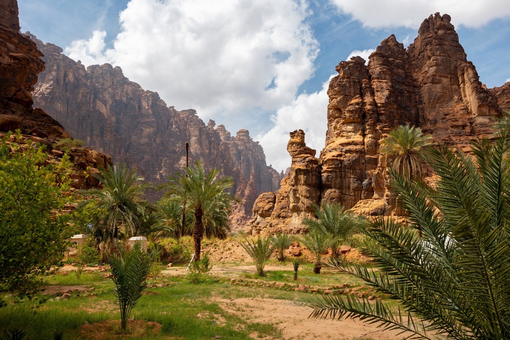 Rotsformaties en palmoase in Wadi Al Disah, Saoedi-Arabië tijdens een groepsrondreis.