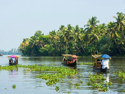 Boottocht door de backwaters van Kerala met palmbomen langs de oever en kleine boten op het water.
