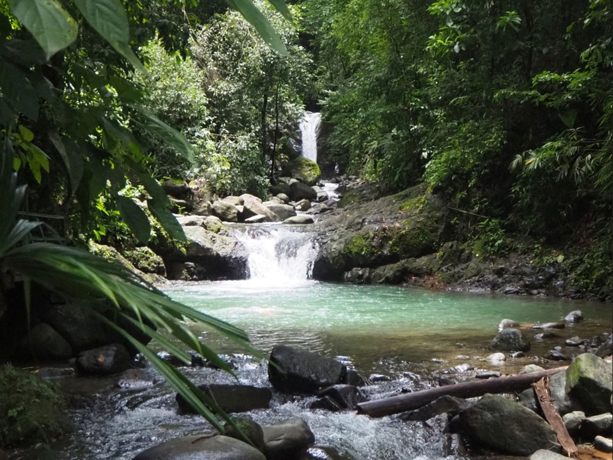 Waterval en natuurlijke waterpoel in het regenwoud van Costa Rica.