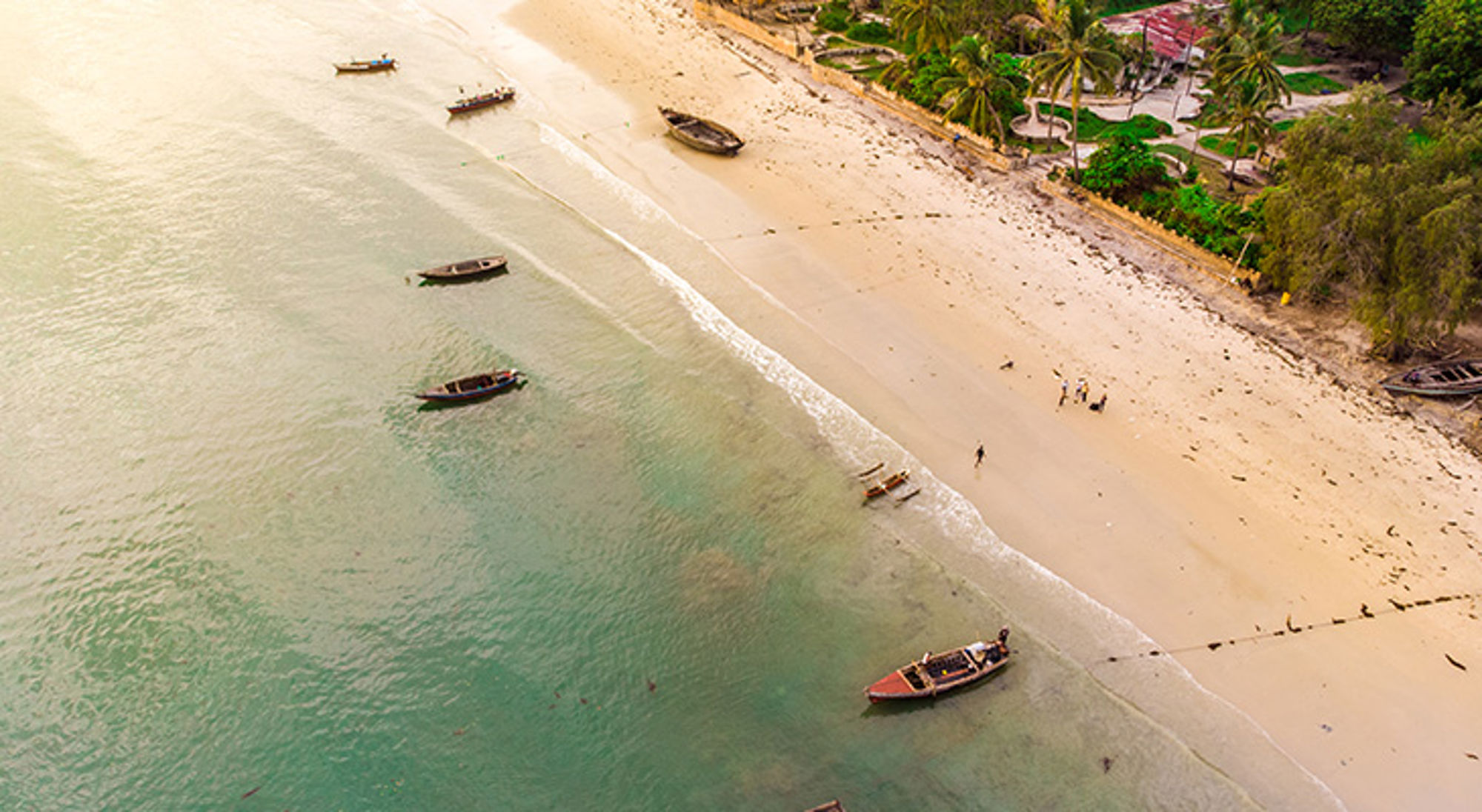 Strand van Bagamoyo een zandstrand in Tanzania met dhowboten in ondiep turquoise water en palmbomen langs de kust.