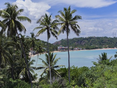 Palmbomen langs de baai en het strand van Unawatuna, Sri Lanka.