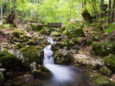 Bosbeek met mosbedekte rotsen en houten brug in het bos van de Centrale Apennijnen, Italië.