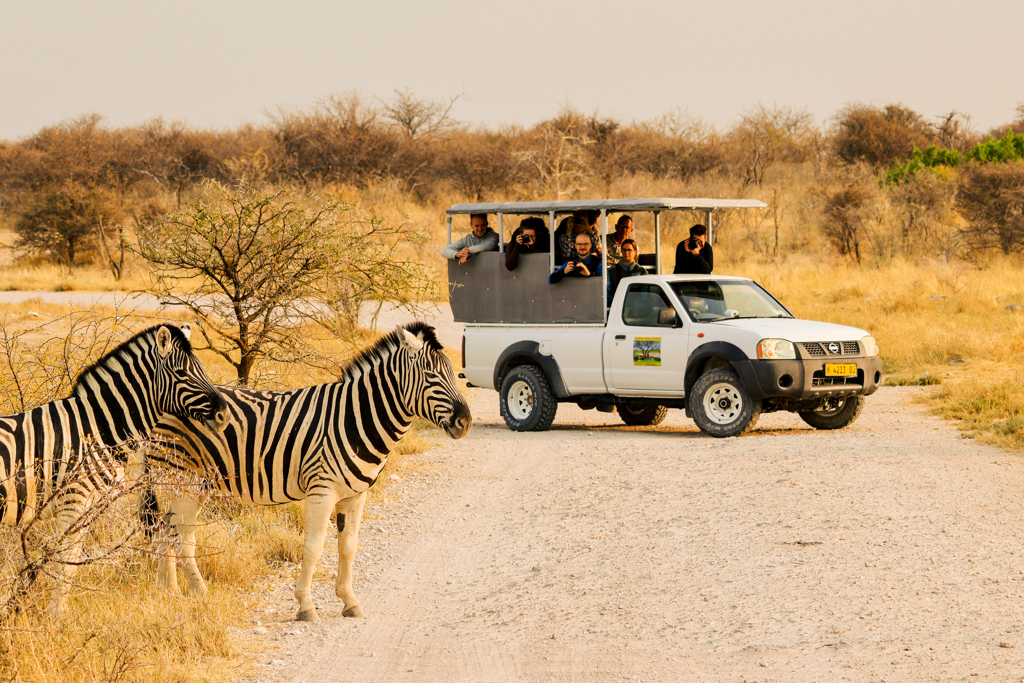 Safari met 22-35ers groepsrondreis Zuidelijk Afrika: zebra’s langs de weg en jeepsafari met reizigers.