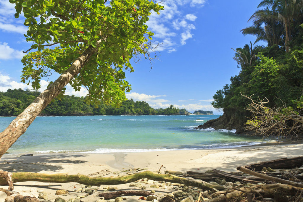 Tropisch strand met palmen en turkoois water aan de kust van Costa Rica tijdens een groepsrondreis.