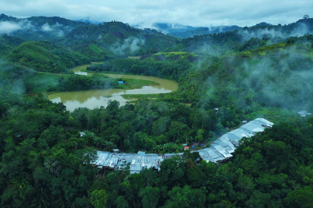 Groene heuvels en slingerende rivier in het regenwoud van Borneo, Maleisië, met laaghangende mist.